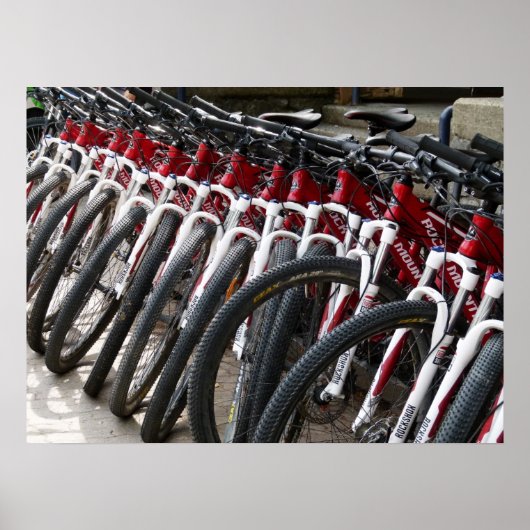 マウンテンバイクが一列に並ぶ ポスター (正面)