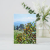 マウンテンバラ ポストカード (スタンド正面)