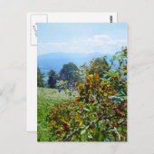 マウンテンバラ ポストカード (正面/裏面)