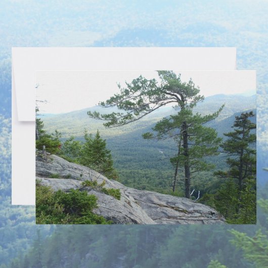 マウンテンパインの木 - 自然の回復力の写真 ノートカード