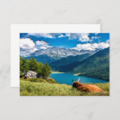 マウンテンパスチュアハイランズウシ サンキューカード (正面/裏面)