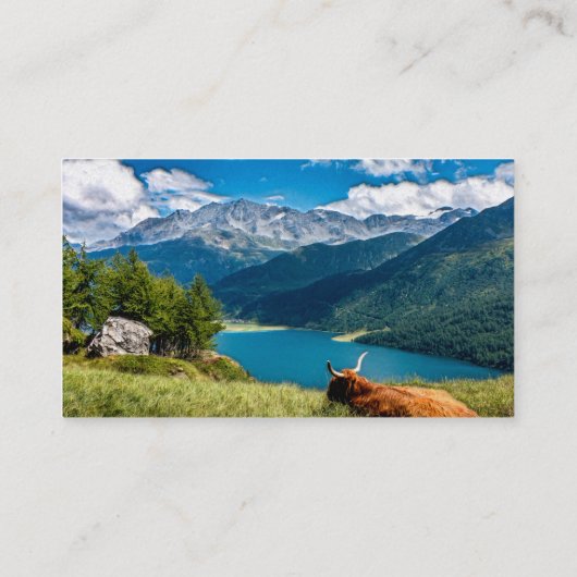 マウンテンパスチュアハイランズウシ 名刺 (裏面)