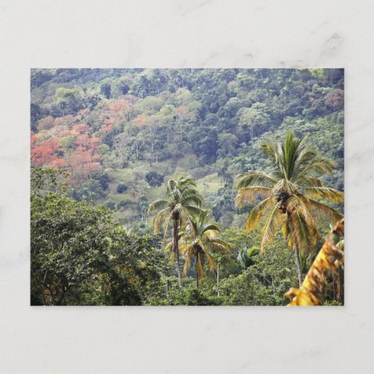 マウンテンビュー、ドミニカ共和国。 ポストカード (正面)