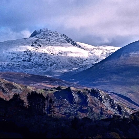 マウンテンビュー 薄葉紙
