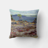 マウンテンピンクス開花、 クッション (裏面)