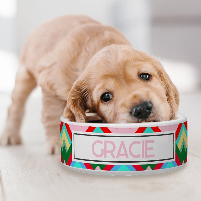 マウンテンピークデザインとペット名 ボウル (A retro colorful dog bowl for your pup!)