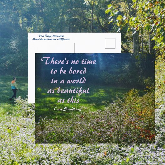 マウンテンフィールドブルーリッジマウンテンズサンドバーグ引用文 ポストカード