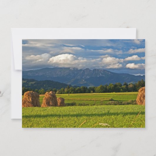 マウンテンフ素朴ィールドカントリーウエディング招待状 招待状 (裏面)