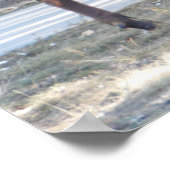 マウンテンブルエルクフォト自然ウォールポスターマンケーブ ポスター (角)