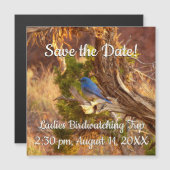 マウンテンブルーバードアットアーチズ国立公園 (正面/裏面)