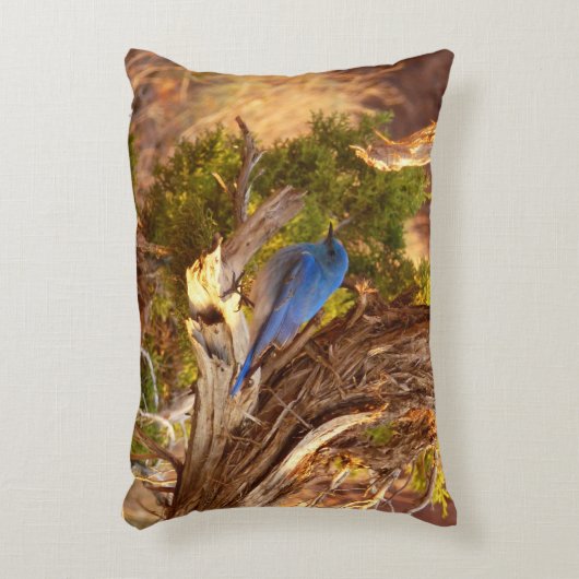 マウンテンブルーバードアットアーチズ国立公園 アクセントクッション (正面(垂直))