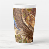 マウンテンブルーバードアットアーチズ国立公園 カフェラテマグ (正面)