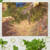 マウンテンブルーバードアットアーチズ国立公園 キッチンタオル (折り畳み)