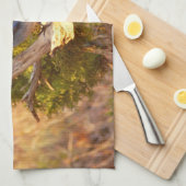 マウンテンブルーバードアットアーチズ国立公園 キッチンタオル (四つ折り)