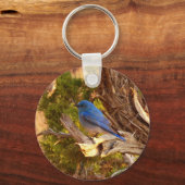 マウンテンブルーバードアットアーチズ国立公園 キーホルダー (正面)