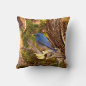 マウンテンブルーバードアットアーチズ国立公園 クッション (裏面)