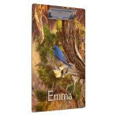 マウンテンブルーバードアットアーチズ国立公園 クリップボード (右)