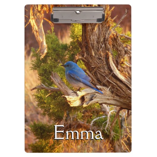 マウンテンブルーバードアットアーチズ国立公園 クリップボード (正面)