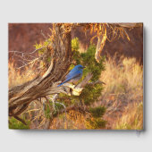 マウンテンブルーバードアットアーチズ国立公園 ゲストブック (裏面)