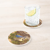 マウンテンブルーバードアットアーチズ国立公園 コースター (側面)