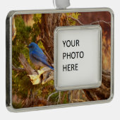 マウンテンブルーバードアットアーチズ国立公園 シルバープレートフレームオーナメント (右)