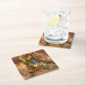 マウンテンブルーバードアットアーチズ国立公園 スクエアペーパーコースター (インサイチュ)