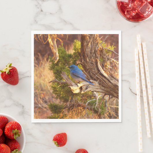 マウンテンブルーバードアットアーチズ国立公園 スタンダードランチョンナプキン (インサイチュ)