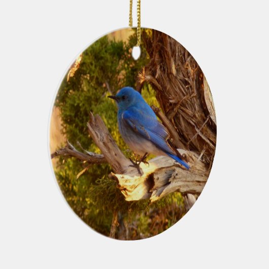 マウンテンブルーバードアットアーチズ国立公園 セラミックオーナメント (右)