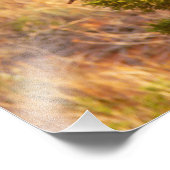 マウンテンブルーバードアットアーチズ国立公園 フォトプリント            (角)