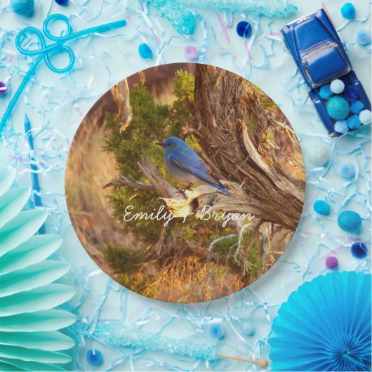 マウンテンブルーバードアットアーチズ国立公園 ペーパープレート (パーティー)