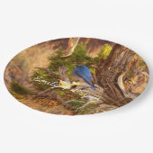 マウンテンブルーバードアットアーチズ国立公園 ペーパープレート (アングル)