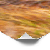 マウンテンブルーバードアットアーチズ国立公園 ポスター (コーナー)