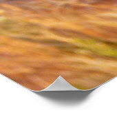 マウンテンブルーバードアットアーチズ国立公園 ポスター (角)