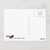 マウンテンブルーバードアットアーチズ国立公園 ポストカード (裏面)