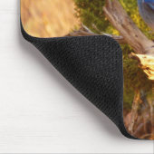 マウンテンブルーバードアットアーチズ国立公園 マウスパッド (コーナー)