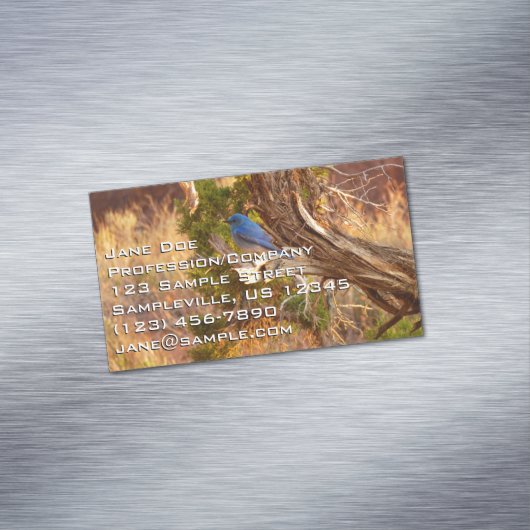 マウンテンブルーバードアットアーチズ国立公園 マグネット名刺 (インサイチュ)