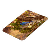 マウンテンブルーバードアットアーチズ国立公園 マグネット (左側)