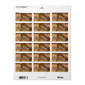 マウンテンブルーバードアットアーチズ国立公園 ラベル (フルシート)