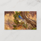 マウンテンブルーバードアットアーチズ国立公園 名刺 (裏面)