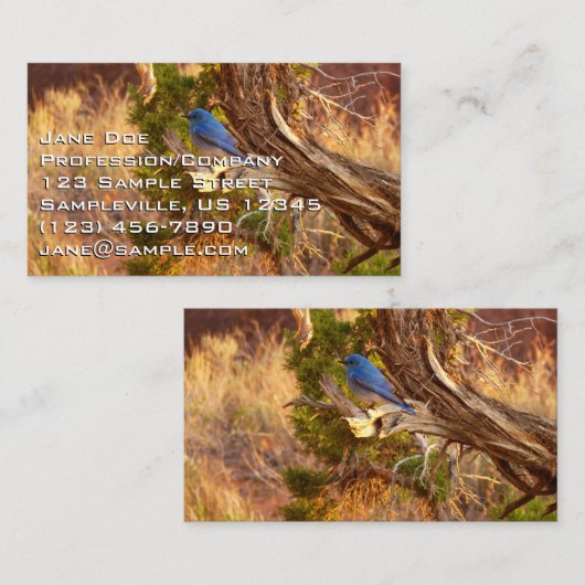 マウンテンブルーバードアットアーチズ国立公園 名刺 (正面/裏面)