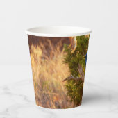 マウンテンブルーバードアットアーチズ国立公園 紙コップ (正面)