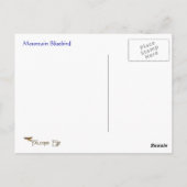 マウンテンブルーバードワイルドライフシリーズ# 2はがき ポストカード (裏面)