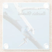 マウンテンブルーバード ガラスコースター (裏面)