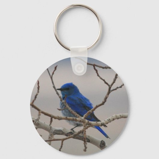 マウンテンブルーバード キーホルダー (正面)