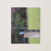 マウンテンブルーバード – 8x10インチ ジグソーパズル (縦)