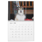 マウンテンホームのパウダーハウンドCDX、RAE、RM、CGC、WL カレンダー (3月 2026)