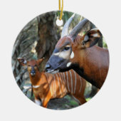 マウンテンボンゴアンドカーフ セラミックオーナメント (正面)