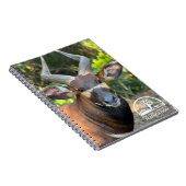 マウンテンボンゴノートブック ノートブック (右側)