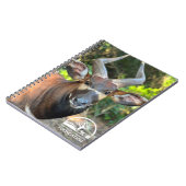 マウンテンボンゴノートブック ノートブック (左側)