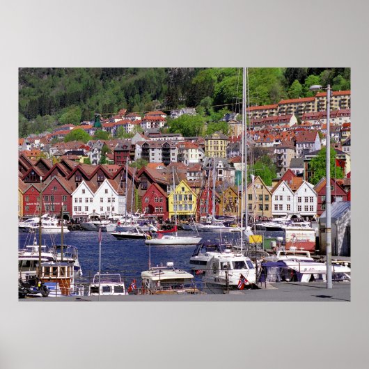 マウンテンマリーナポスター ポスター (正面)